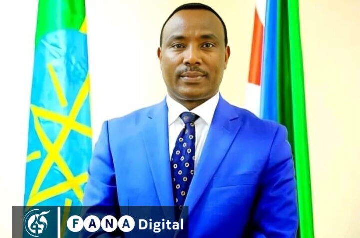 ነጋሽ ዋጌሾ (ዶ/ር) (ኢ/ር)